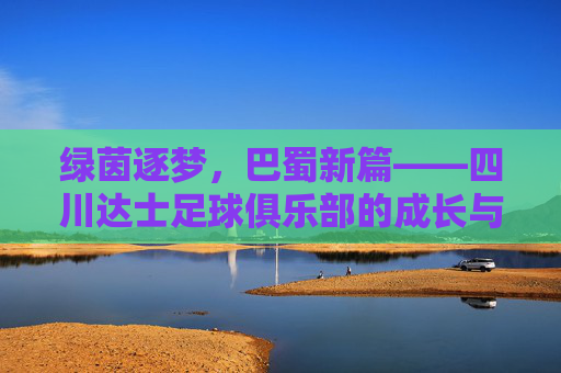 绿茵逐梦，巴蜀新篇——四川达士足球俱乐部的成长与担当，巴蜀绿茵逐梦，达士成长担当