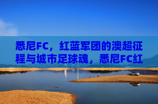 悉尼FC,红蓝军团的澳超征程与城市足球魂,悉尼FC红蓝军团,澳超征程中的城市足球魂