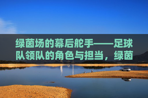 绿茵场的幕后舵手——足球队领队的角色与担当,绿茵场幕后舵手,足球队领队的角色与担当