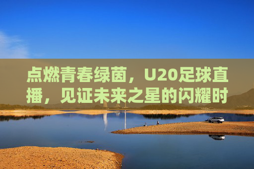 点燃青春绿茵，U20足球直播，见证未来之星的闪耀时刻，青春绿茵U20直播，见证未来之星闪耀时刻