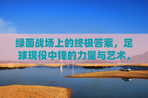 绿茵战场上的终极答案,足球现役中锋的力量与艺术,绿茵终极答案,现役中锋的力量与艺术