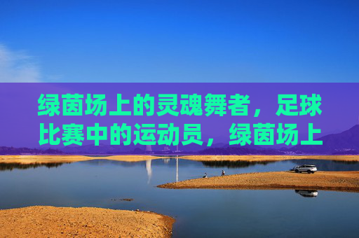 绿茵场上的灵魂舞者,足球比赛中的运动员,绿茵场上的灵魂舞者