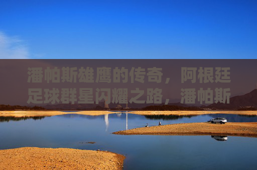 潘帕斯雄鹰的传奇，阿根廷足球群星闪耀之路，潘帕斯雄鹰的群星传奇之路
