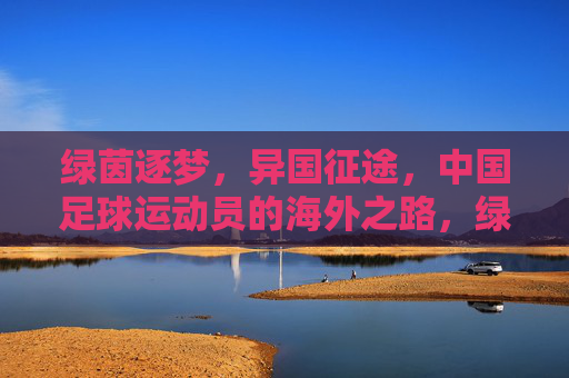 绿茵逐梦，异国征途，中国足球运动员的海外之路，绿茵逐梦，中国足球的海外征途