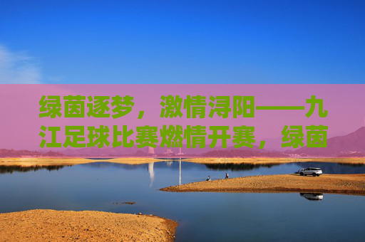 绿茵逐梦,激情浔阳——九江足球比赛燃情开赛,绿茵逐梦,激情浔阳——九江足球比赛燃情开赛