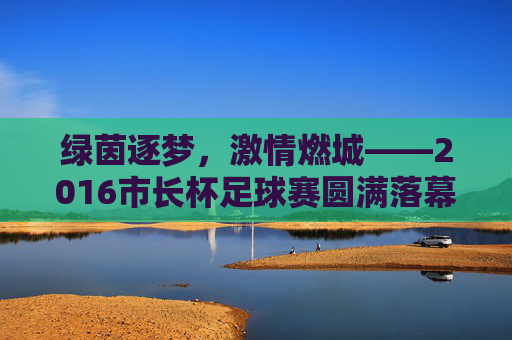 绿茵逐梦,激情燃城——2016市长杯足球赛圆满落幕