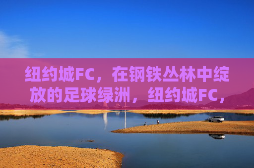 纽约城FC,在钢铁丛林中绽放的足球绿洲,纽约城FC,钢铁丛林中绽放的足球绿洲