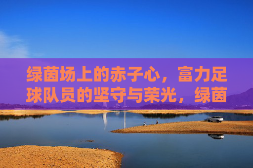 绿茵场上的赤子心，富力足球队员的坚守与荣光，绿茵赤子心，富力队员的坚守与荣光