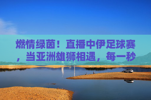 燃情绿茵！直播中伊足球赛，当亚洲雄狮相遇，每一秒都是热血沸腾，燃情绿茵！中伊足球赛直播，亚洲雄狮对决热血沸腾
