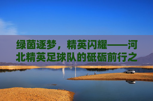绿茵逐梦,精英闪耀——河北精英足球队的砥砺前行之路,绿茵逐梦,砥砺前行——河北精英足球队的闪耀之路