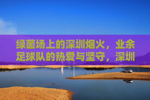 绿茵场上的深圳烟火，业余足球队的热爱与坚守，深圳绿茵烟火，业余足球队的热爱与坚守