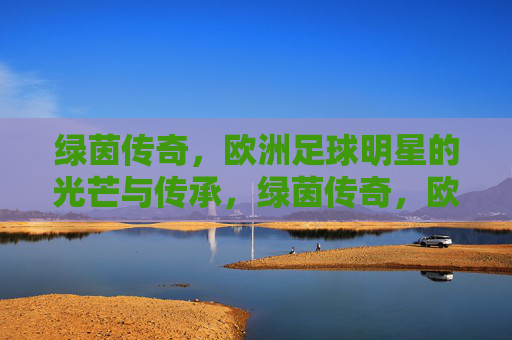 绿茵传奇，欧洲足球明星的光芒与传承，绿茵传奇，欧洲足球明星的光芒与传承