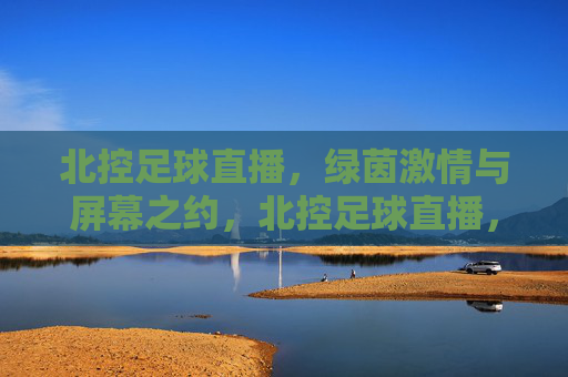 北控足球直播，绿茵激情与屏幕之约，北控足球直播，绿茵激情与屏幕之约