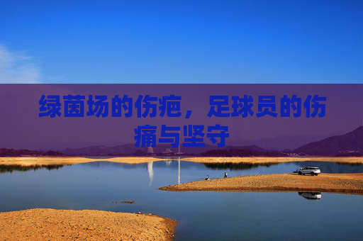 绿茵场的伤疤,足球员的伤痛与坚守