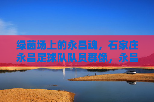 绿茵场上的永昌魂，石家庄永昌足球队队员群像，永昌魂映绿茵群像