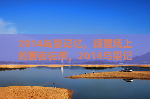 2014鸟巢记忆,绿茵场上的夏夜狂想,2014鸟巢记忆,绿茵场夏夜狂想