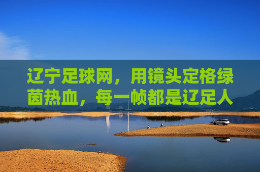 辽宁足球网，用镜头定格绿茵热血，每一帧都是辽足人的独家记忆，镜头定格绿茵热血，帧帧辽足独家记忆