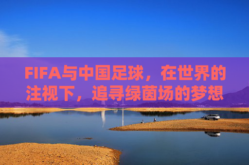 FIFA与中国足球，在世界的注视下，追寻绿茵场的梦想，FIFA注视下，中国足球的绿茵逐梦
