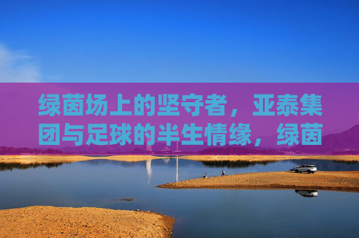绿茵场上的坚守者,亚泰集团与足球的半生情缘,绿茵场上的坚守者,亚泰集团的半生足球情缘