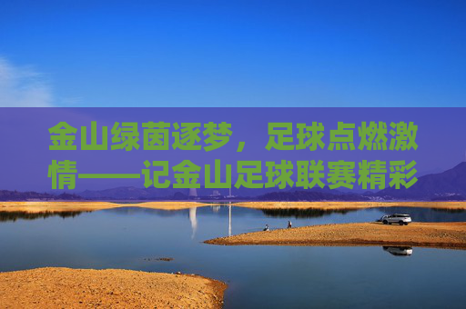 金山绿茵逐梦，足球点燃激情——记金山足球联赛精彩开赛，金山绿茵逐梦，足球联赛激情开赛