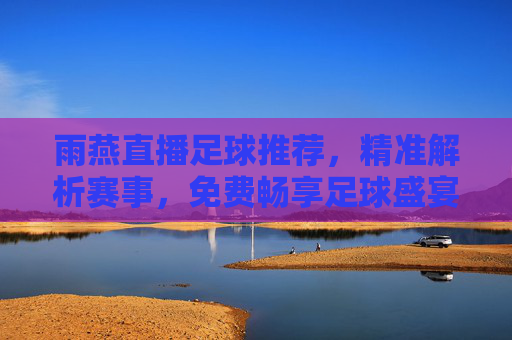 雨燕直播足球推荐，精准解析赛事，免费畅享足球盛宴，雨燕直播，免费精准足球推荐，畅享赛事盛宴