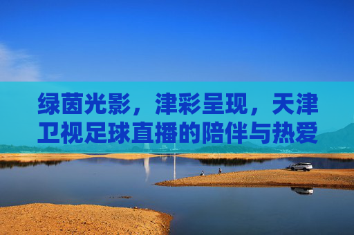 绿茵光影，津彩呈现，天津卫视足球直播的陪伴与热爱，津彩绿茵，天津卫视足球直播的热爱陪伴