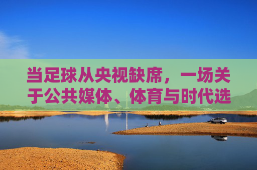当足球从央视缺席,一场关于公共媒体、体育与时代选择的对话,足球缺席央视,公共媒体、体育与时代选择的对话