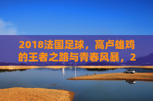 2018法国足球，高卢雄鸡的王者之路与青春风暴，2018高卢雄鸡，王者之路与青春风暴
