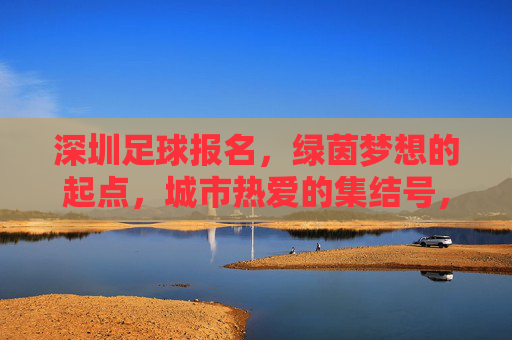 深圳足球报名，绿茵梦想的起点，城市热爱的集结号，深圳足球报名，绿茵梦想启航，城市热爱集结