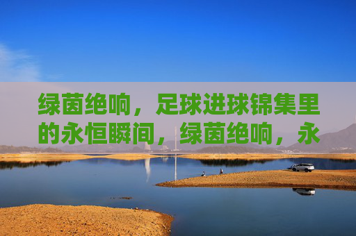 绿茵绝响，足球进球锦集里的永恒瞬间，绿茵绝响，永恒进球瞬间