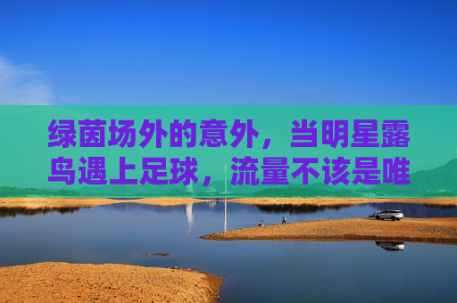 绿茵场外的意外，当明星露鸟遇上足球，流量不该是唯一的裁判，足球场外明星露鸟，流量不该是唯一裁判
