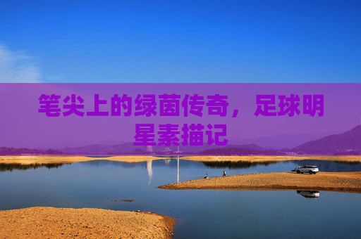 笔尖上的绿茵传奇,足球明星素描记