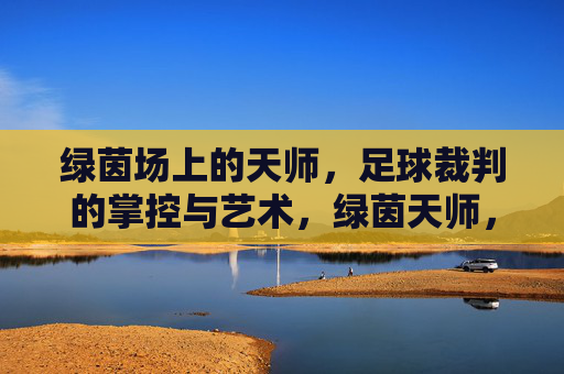 绿茵场上的天师,足球裁判的掌控与艺术,绿茵天师,足球裁判的掌控艺术