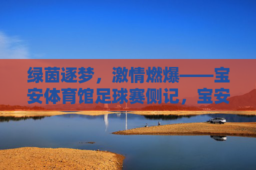 绿茵逐梦，激情燃爆——宝安体育馆足球赛侧记，宝安体育馆足球赛，绿茵逐梦激情燃爆