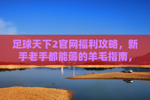 足球天下2官网福利攻略，新手老手都能薅的羊毛指南，足球天下2官网福利攻略，新手老手薅羊毛指南
