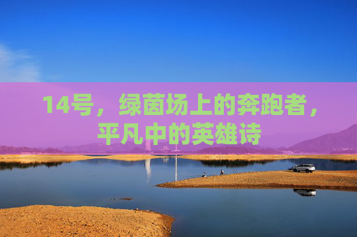14号,绿茵场上的奔跑者,平凡中的英雄诗