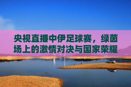 央视直播中伊足球赛，绿茵场上的激情对决与国家荣耀，央视直播中伊足球赛，绿茵激情对决，国家荣耀