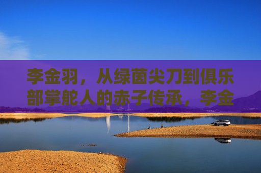 李金羽，从绿茵尖刀到俱乐部掌舵人的赤子传承，李金羽，从绿茵尖刀到掌舵人的赤子传承