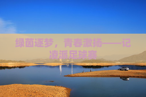 绿茵逐梦,青春激扬——记凌派足球赛