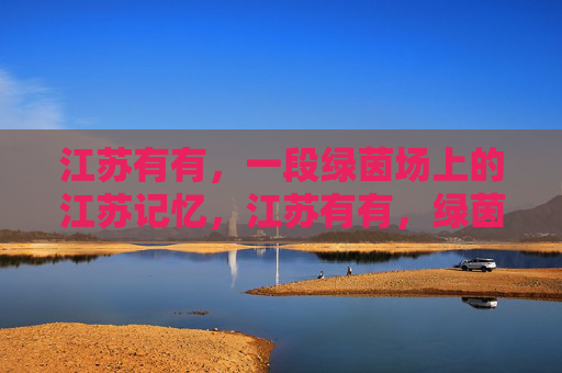 江苏有有,一段绿茵场上的江苏记忆,江苏有有,绿茵场上的记忆