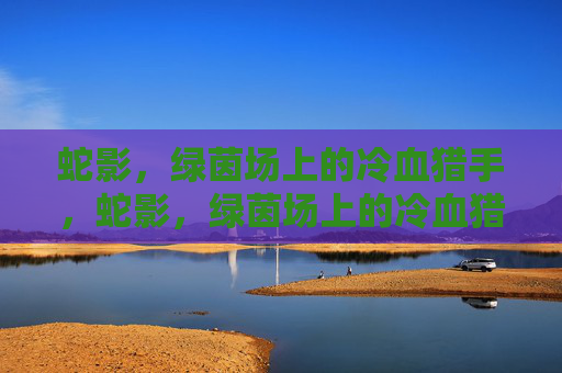蛇影,绿茵场上的冷血猎手,蛇影,绿茵场上的冷血猎手