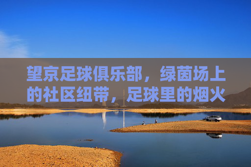 望京足球俱乐部，绿茵场上的社区纽带，足球里的烟火人间，望京FC，绿茵烟火，社区纽带