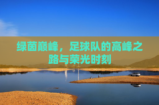 绿茵巅峰,足球队的高峰之路与荣光时刻