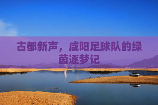 古都新声,咸阳足球队的绿茵逐梦记