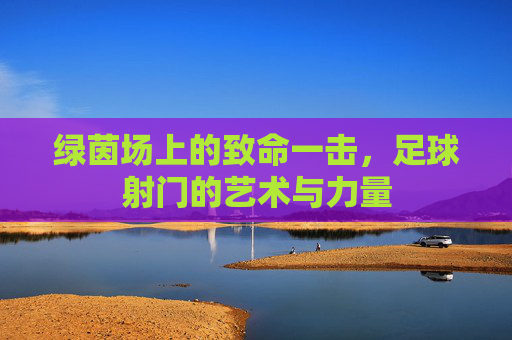 绿茵场上的致命一击,足球射门的艺术与力量
