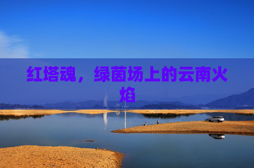 红塔魂,绿茵场上的云南火焰