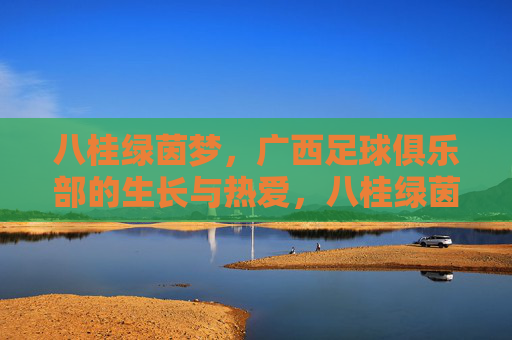 八桂绿茵梦,广西足球俱乐部的生长与热爱,八桂绿茵梦,广西足球俱乐部的生长与热爱
