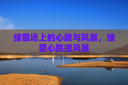 绿茵场上的心跳与风暴，绿茵心跳撞风暴
