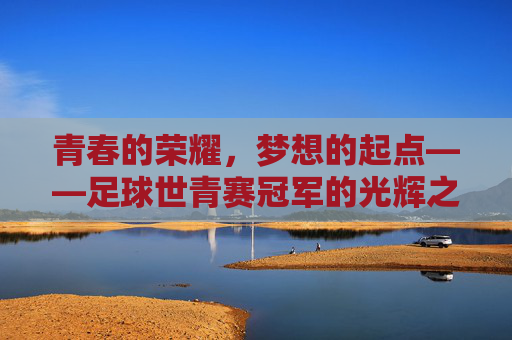 青春的荣耀，梦想的起点——足球世青赛冠军的光辉之路，青春荣光，世青赛冠军的光辉之路