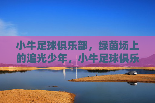 小牛足球俱乐部,绿茵场上的追光少年,小牛足球俱乐部,绿茵场上的追光少年